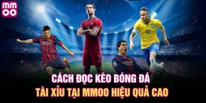 Cách đọc kèo bóng đá tài xỉu