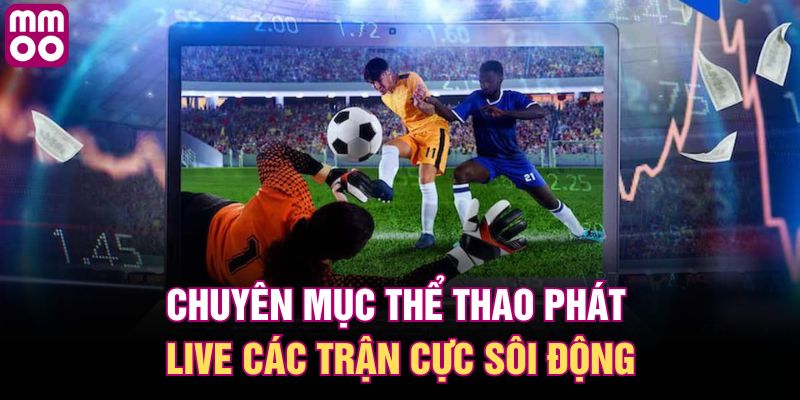 Chuyên mục thể thao phát live các trận cực sôi động