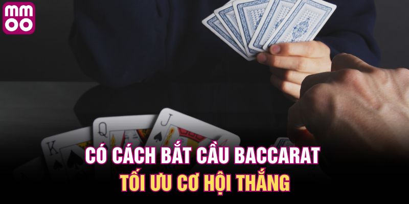 Có cách bắt cầu Baccarat tối ưu cơ hội thắng