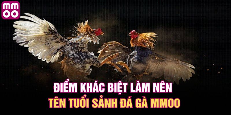Điểm khác biệt làm nên tên tuổi sảnh đá gà MMOO