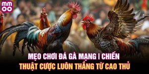 Mẹo chơi đá gà mạng