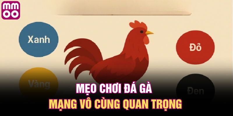 Mẹo chơi đá gà mạng vô cùng quan trọng