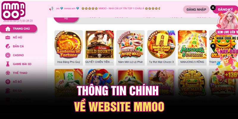 Thông tin chính về website MMOO