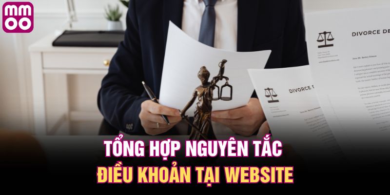 Tổng hợp nguyên tắc điều khoản tại website
